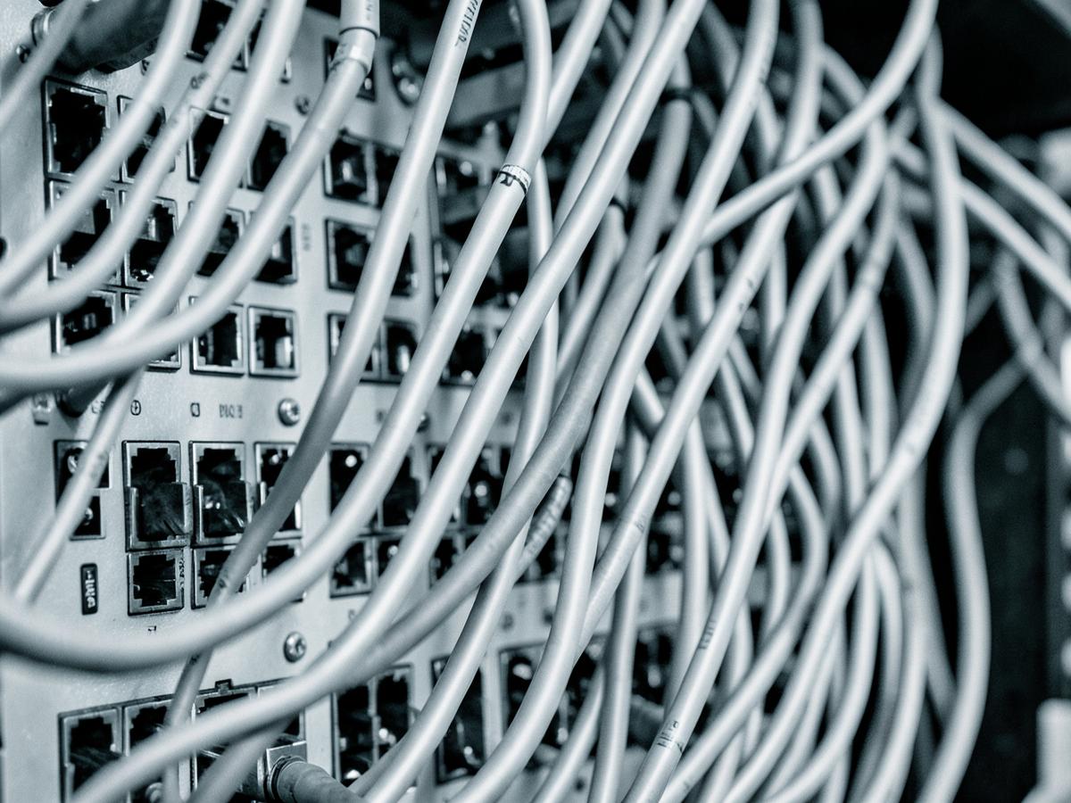 Close-up of structured network cabling connected to a patch panel